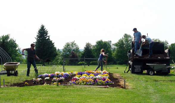 Crew mulching